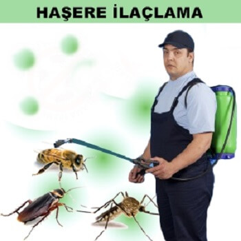 Taşova Böcek İlaçlama